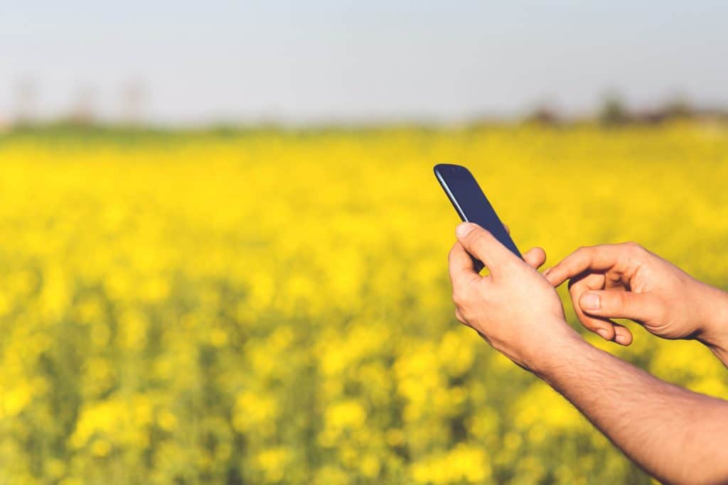 Un gerente controla su plantación con datos móviles.