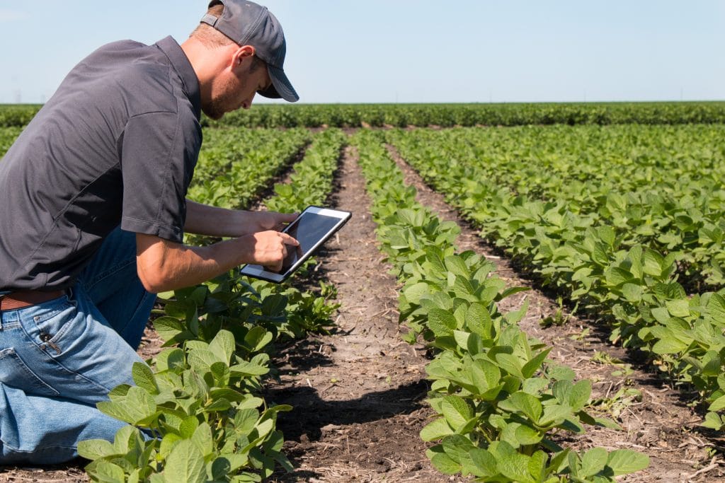 Un agrónomo analiza los datos de su terreno con una tablet.