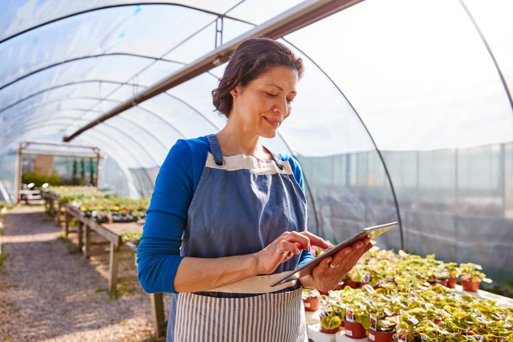 Una agrónoma controla los datos de su negocio agrícola desde un dispositivo móvil.