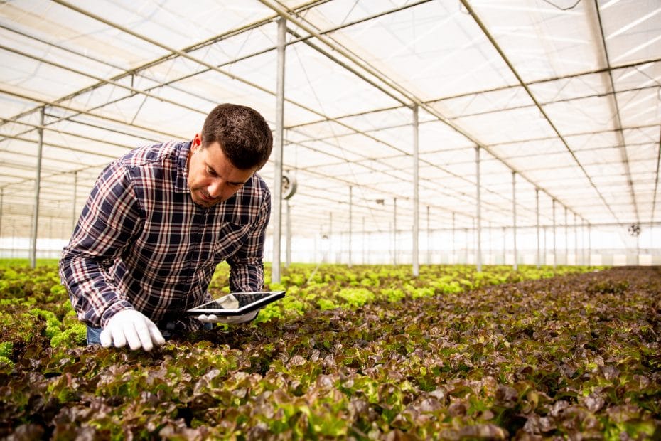 ¿Cómo impacta en el campo la tecnología? 8 beneficios diarios para los