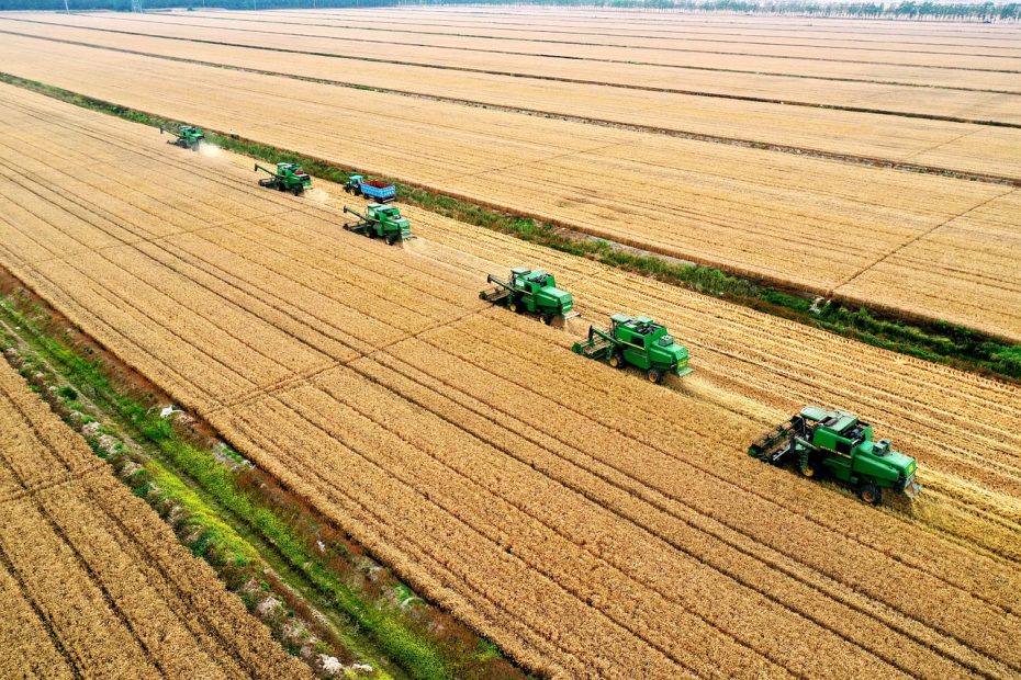 Las soluciones agrícolas smart están revolucionando el agro. Conoce el perfil de las empresas que las usan.