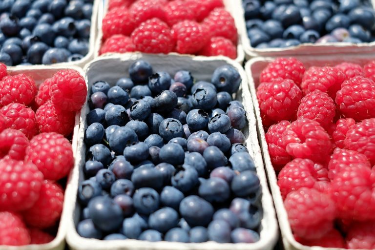 HarvestApp y LaborApp te ayudan a ser más eficiente en la época de las berries.