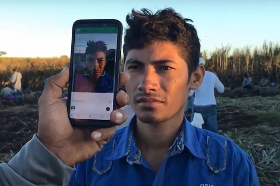 Un joven empleado ficha en el trabajo con el reconocimiento facial en el sector agrario.