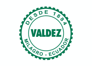 Logo Azucarera Valdez png